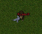 PlatinumDragonCuddles.jpg