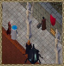 Mousetrap destruction.jpg