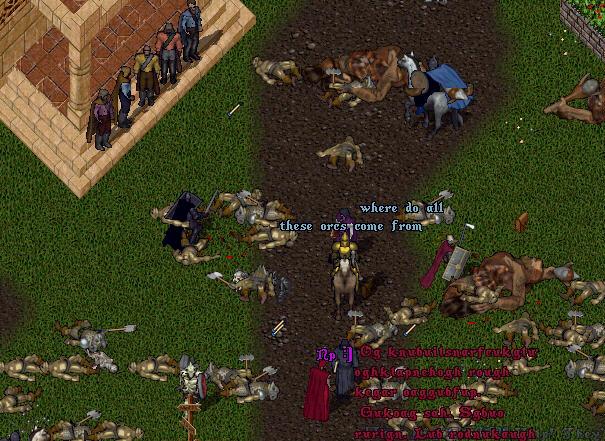 561.jpg