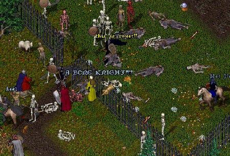 571.jpg