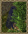 Thumbnail for version as of 11:35, 5 September 2009
