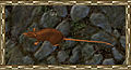 Thumbnail for version as of 19:41, 12 October 2009