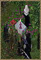 Thumbnail for version as of 19:32, 22 June 2009
