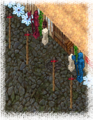 Thumbnail for version as of 23:16, 24 February 2011