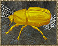 Thumbnail for version as of 20:14, 28 February 2010