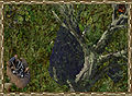 Thumbnail for version as of 11:34, 5 September 2009