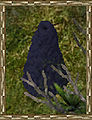 Thumbnail for version as of 11:35, 5 September 2009
