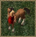 Thumbnail for version as of 00:50, 22 March 2010