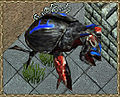 Thumbnail for version as of 20:09, 12 October 2009