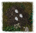 Thumbnail for version as of 03:01, 20 November 2011