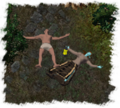 Thumbnail for version as of 19:45, 18 October 2009