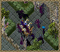 Thumbnail for version as of 19:18, 28 July 2009